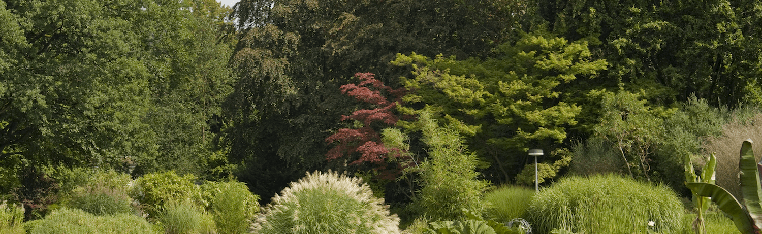 Parco Colonnetti Torino