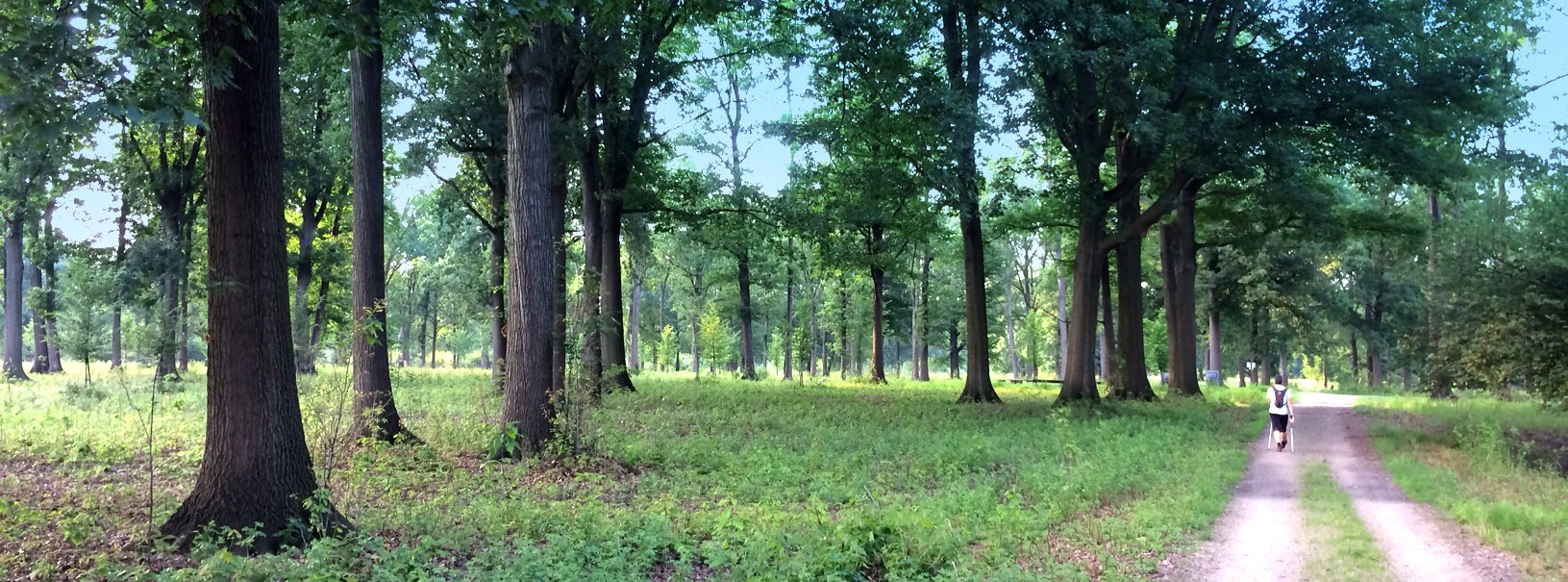 Parco Naturale di Stupinigi