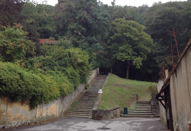 Riserva naturale speciale Rocca di Cavour