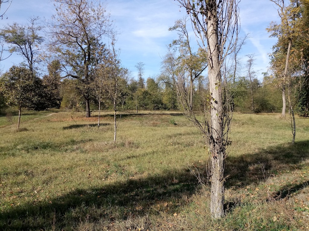 parco del boschetto