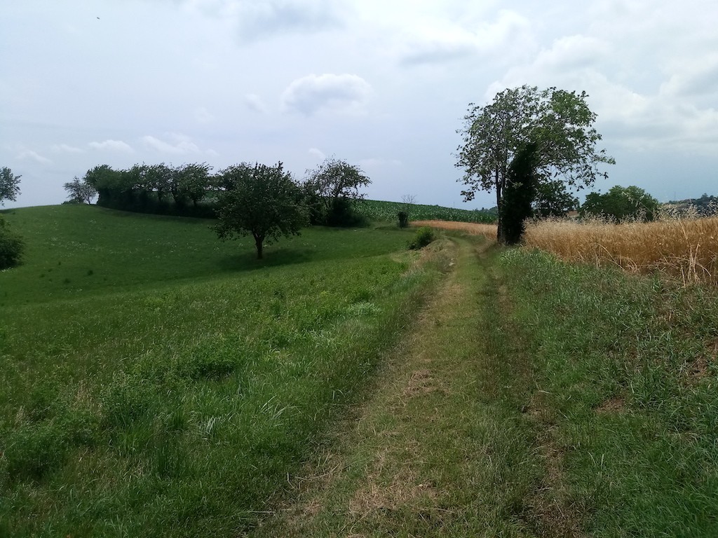 sentieri di baldissero torinese