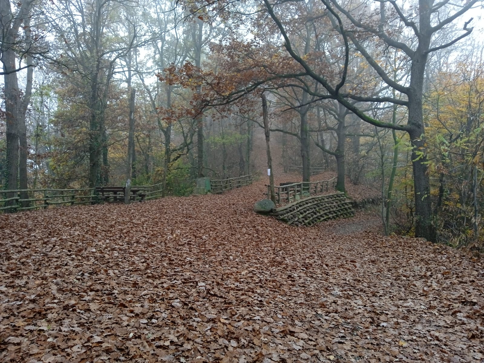 riserva naturale del bosco del vaj